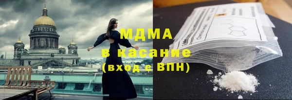 индика Бронницы