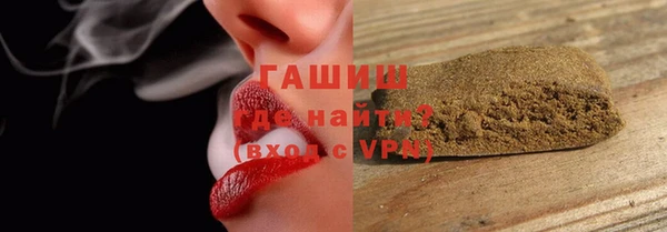 индика Бронницы