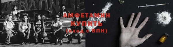 индика Бронницы