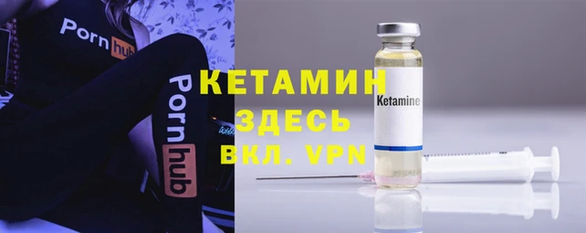 индика Бронницы