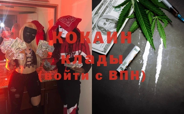 индика Бронницы