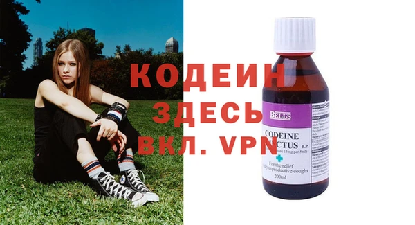 индика Бронницы