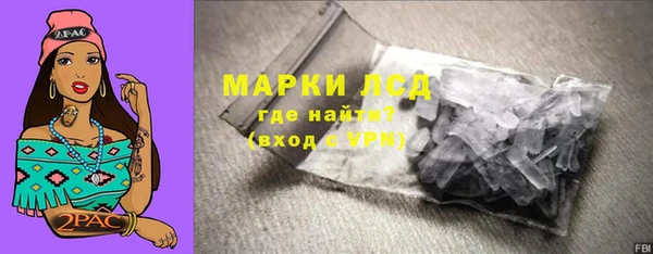индика Бронницы