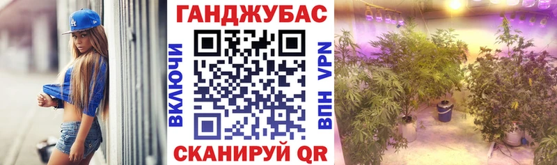 Конопля Ganja  Санкт-Петербург 